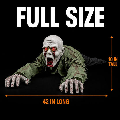 CRAWLING ZOMBIE